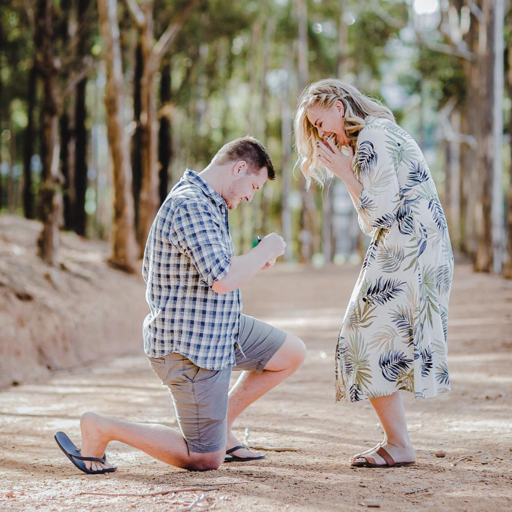 Die_Hougaards_carousel_2